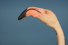 18179