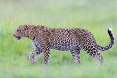 PJ_201226_2814