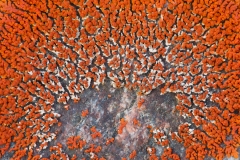 10215