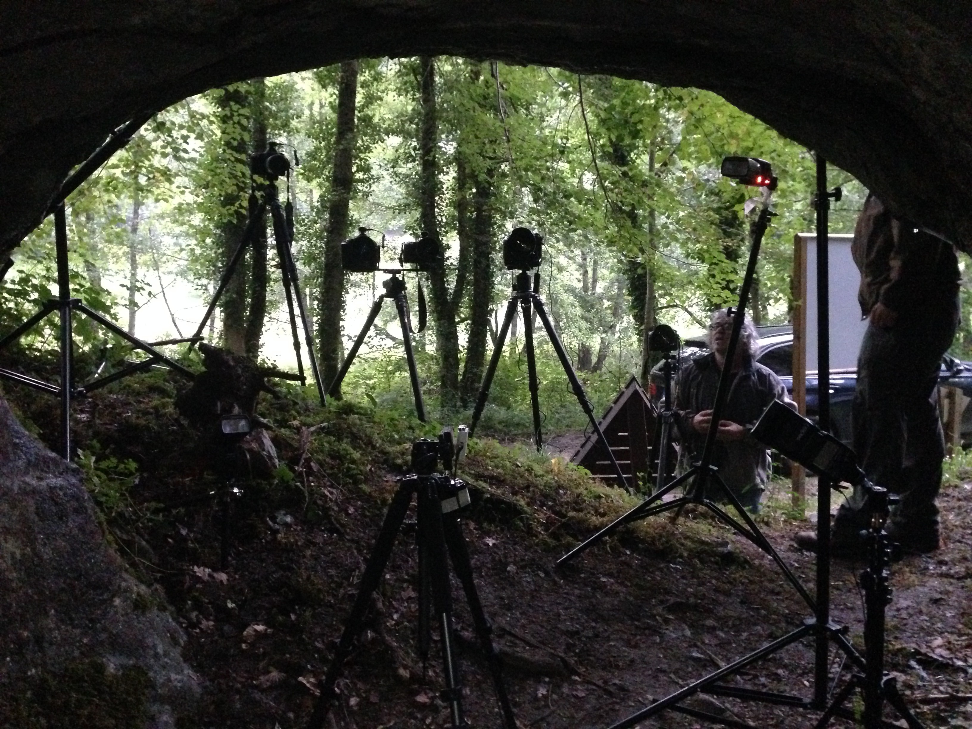 The heavy nightlife of the ardennes
